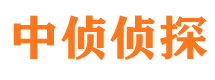 泸定市侦探调查公司